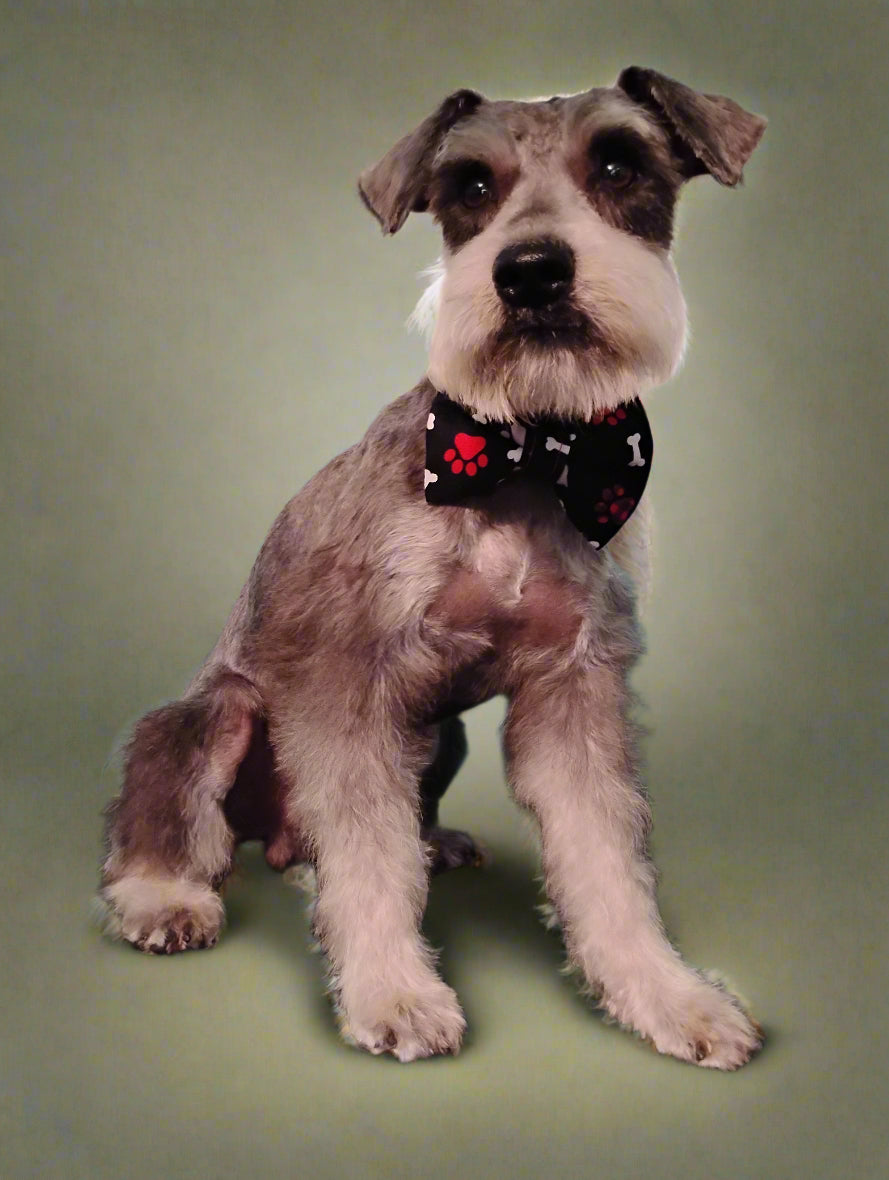 Red, Black & White Dog Themed Pet Bow Tie