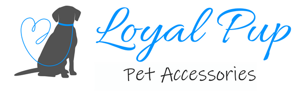 Loyal Pup